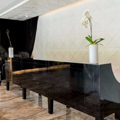 پروژه لوکس بشیکتاش استانبول