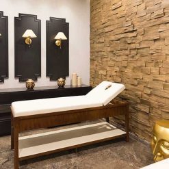 پروژه لوکس بشیکتاش استانبول