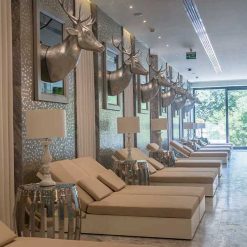 پروژه لوکس بشیکتاش استانبول