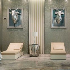 پروژه لوکس بشیکتاش استانبول